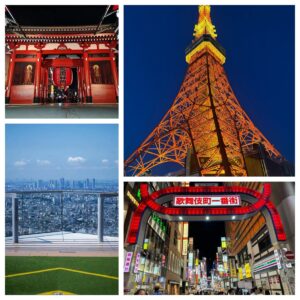 Discover the Essence of Tokyo in One Perfect Day
