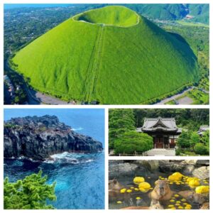 Izu Day Tour – Nature, Coastline & Hidden Japan