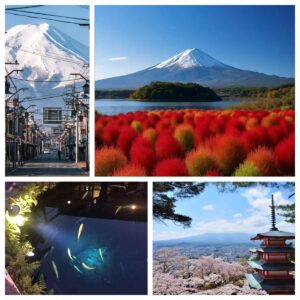 Nikkawa Clock Shop/Kawaguchiko Oishi Park/Oshino Hakkai/Arakurayama Sengen Park/Shrine
